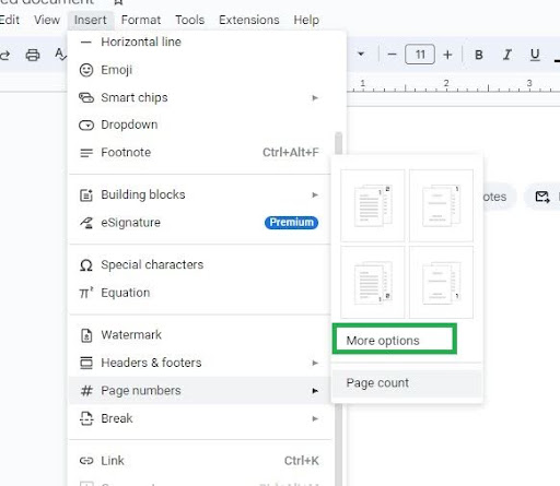 add the number at the footer or header then click on the More Options
